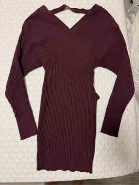 Windsor maroon Sweater Dress
